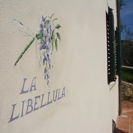 Casale Olea Massarosa