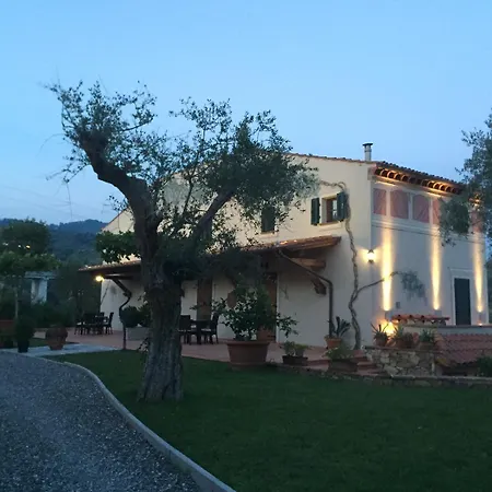 Casale Olea Massarosa