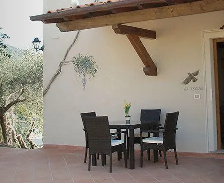 Casale Olea Massarosa