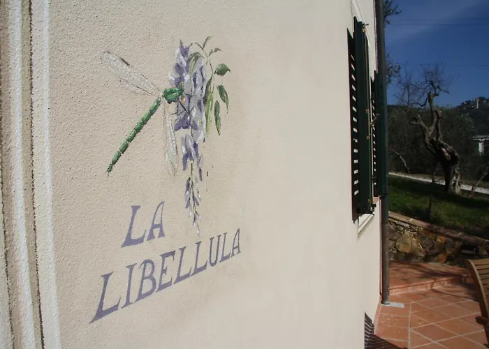 Casale Olea Massarosa